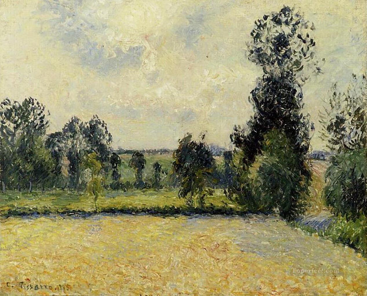 field of oats in eragny 1885 Camille Pissarro scenery Oil Paintings